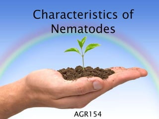 Characteristics of
Nematodes
AGR154
 