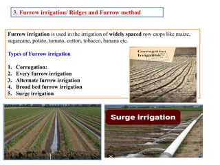 Water management in horticultural crops | PPTX