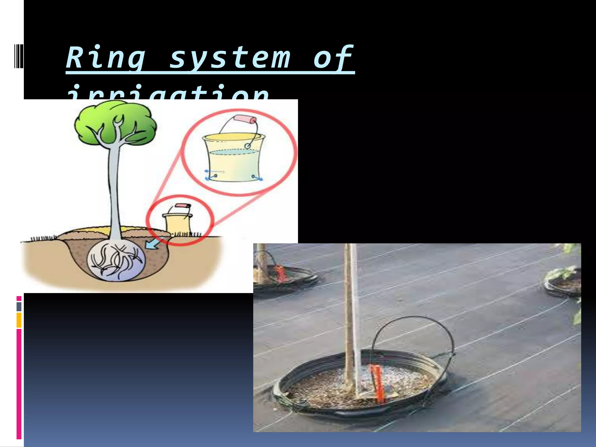 Ring system of
irrigation
 