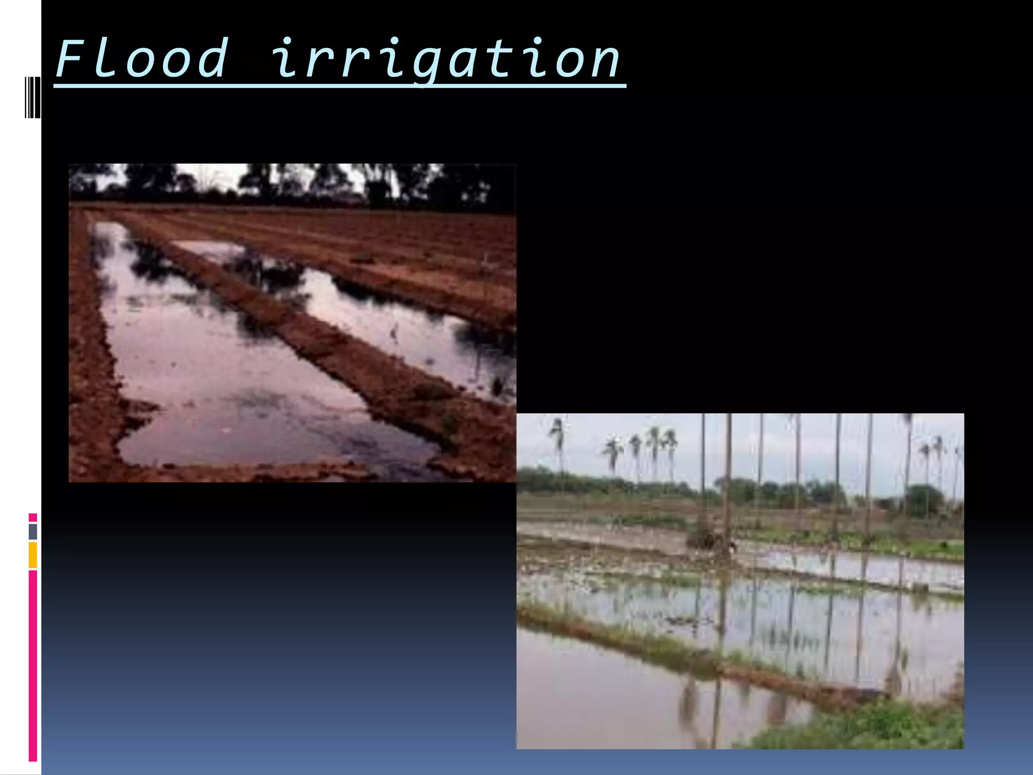 Flood irrigation
 
