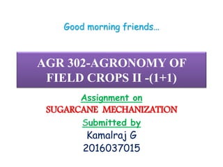 AGR 302-AGRONOMY OF
FIELD CROPS II -(1+1)
Good morning friends…
Assignment on
SUGARCANE MECHANIZATION
Submitted by
Kamalraj G
2016037015
 