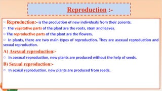 Production Reproduction AGR 304_Foundations of crop breeding.ppt
