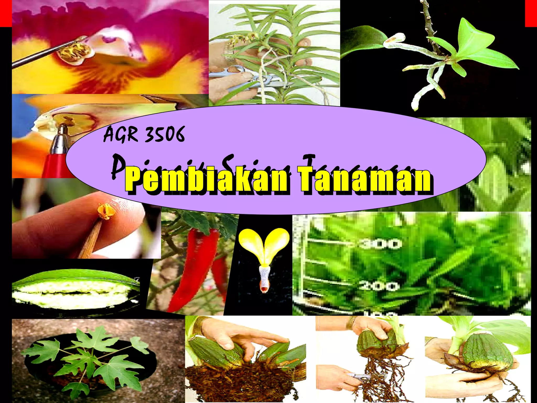 Agr+3506+l8+sexual+propagation | PPT | Agriculture | Industries