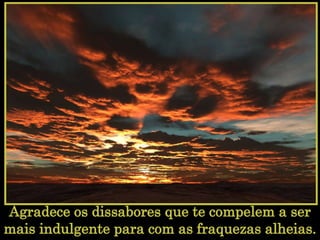 Agradece os dissabores que te compelem a ser mais indulgente para com as fraquezas alheias.