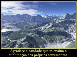 Agradece a saudade que te ensina a sublimação dos próprios sentimentos.