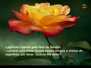 Lágrimas rolaram pela face de Sandra.
- Levarei uma dúzia destes caules longos e cheios de
espinhos, por favor. Quanto lhe devo?
.
 