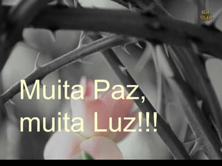 Muita Paz,
muita Luz!!!
.
 