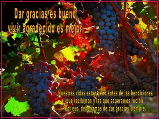 Nuestras vidas están pendientes de las bendiciones  que recibimos y las que esperamos recibir.  Por eso, deberíamos de dar gracias siempre. Dar gracias es bueno,  vivir agradecido es mejor. 