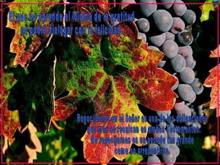 El que no aprende el idioma de la gratitud  no podrá dialogar con la felicidad. Regocijarnos en el Señor es una de las obligaciones que más se recalcan en ambos Testamentos.  No regocijarnos es un pecado tan grande  como no arrepentirse. 