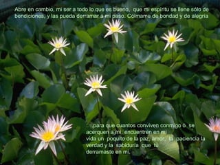 … .para que cuantos conviven conmigo ò  se  acerquen a mì, encuentren en mi  vida un  poquito de la paz, amor,  la  paciencia la verdad y la  sabiduría  que  tú  derramaste en mi. Abre en cambio, mi ser a todo lo que es bueno,  que mi espíritu se llene sólo de bendiciones, y las pueda derramar a mi paso. Cólmame de bondad y de alegría 