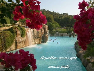 Aquellas cosas que  nunca pedí 