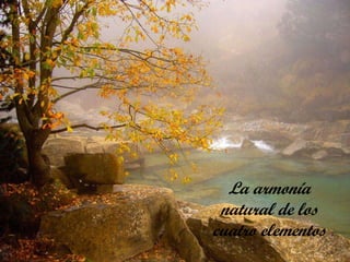 La armonía natural de los cuatro elementos 