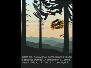 Certo dia, dos ovinhos, começaram a nascer pequenas gralhas... A primeira foi a Camila, depois a Graça. A mãe piava de alegria!