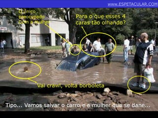 www.ESPETACULAR.COM 
Para o que esses 4 
caras tão olhando? 
O único 
preocupado 
Com a mulher 
Vai crawl, volta borboleta 
Tipo... Vamos salvar o carro e a mulher que se dane... 
 