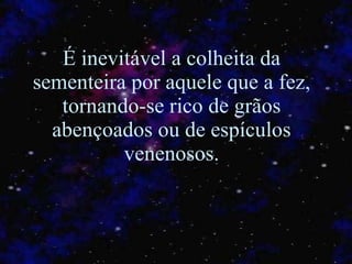 É inevitável a colheita da sementeira por aquele que a fez, tornando-se rico de grãos abençoados ou de espículos venenosos. 