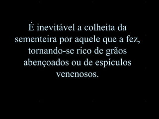 É inevitável a colheita da sementeira por aquele que a fez, tornando-se rico de grãos abençoados ou de espículos venenosos. 