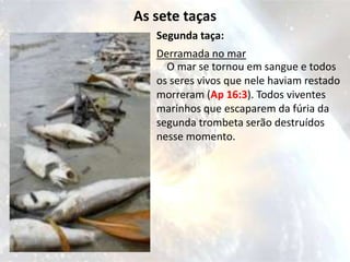 As sete taças
   Segunda taça:
   Derramada no mar
     O mar se tornou em sangue e todos
   os seres vivos que nele haviam restado
   morreram (Ap 16:3). Todos viventes
   marinhos que escaparem da fúria da
   segunda trombeta serão destruídos
   nesse momento.
 