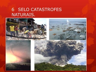 6 SELO CATASTROFES
NATURAIS.
 