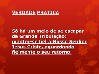 VERDADE PRATICA
Só há um meio de se escapar
da Grande Tribulação:
manter-se fiel a Nosso Senhor
Jesus Cristo, aguardando
fielmente o seu retorno.
 