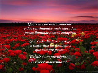 Que a luz do discernimento  e dos sentimentos mais elevados  possa iluminar nossos corações! Que cada dia leve consigo  a maravilha do momento,  que sempre passa... Existir é um privilégio.  E viver é maravilhoso! 