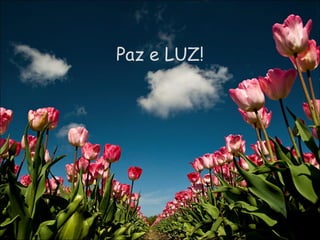 Paz e LUZ! 