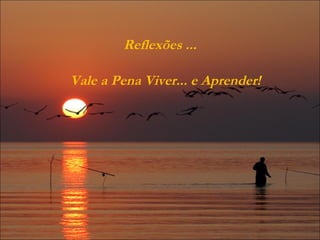 Reflexões ... Vale a Pena Viver... e Aprender! 