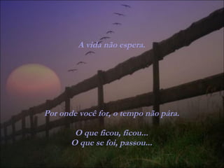 A vida não espera. Por onde você for, o tempo não pára. O que ficou, ficou... O que se foi, passou... 