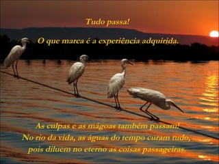 Tudo passa!  O que marca é a experiência adquirida. As culpas e as mágoas também passam! No rio da vida, as águas do tempo curam tudo,  pois diluem no eterno as coisas passageiras. 