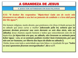 A GRANDEZA DE JESUS
V.15: “O Senhor lhe respondeu: "Hipócritas! Cada um de vocês não
desamarra no sábado o seu boi ou jumento do estábulo e o leva dali para
dar-lhe água?”.
Um homem religioso, muito devoto, que praticava a lei, ficou irritado porque foi
no sábado que Jesus curou a mulher (obcecado pela lei, achava que as
pessoas deviam procurar sua cura durante os seis dias úteis, não no
sábado). Jesus chamou aquele homem e todos que concordavam com ele de
hipócritas (a hipocrisia era que, no sábado, eles levavam os animais para
beber água – ora, se os animais podiam receber bom tratamento, por que
não um ser humano, ser liberto dos laços do diabo no sábado?).
Então, Jesus com toda a autoridade que tem falou e o resultado foi que “todos
os seus oponentes ficaram envergonhados”, diz o v.17.
4. JESUS TEM AUTORIDADE EM SUAS PALAVRAS
 
