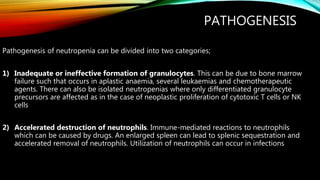 PATHOGENESIS
Pathogenesis of neutropenia can be divided into two categories;
1) Inadequate or ineffective formation of granulocytes. This can be due to bone marrow
failure such that occurs in aplastic anaemia, several leukaemias and chemotherapeutic
agents. There can also be isolated neutropenias where only differentiated granulocyte
precursors are affected as in the case of neoplastic proliferation of cytotoxic T cells or NK
cells
2) Accelerated destruction of neutrophils. Immune-mediated reactions to neutrophils
which can be caused by drugs. An enlarged spleen can lead to splenic sequestration and
accelerated removal of neutrophils. Utilization of neutrophils can occur in infections
 