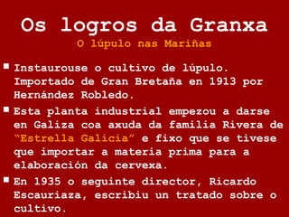 Os logros da Granxa
O lúpulo nas Mariñas
 Instaurouse o cultivo de lúpulo.
Importado de Gran Bretaña en 1913 por
Hernández Robledo.
 Esta planta industrial empezou a darse
en Galiza coa axuda da familia Rivera de
“Estrella Galicia” e fixo que se tivese
que importar a materia prima para a
elaboración da cervexa.
 En 1935 o seguinte director, Ricardo
Escauriaza, escribiu un tratado sobre o
cultivo.
 