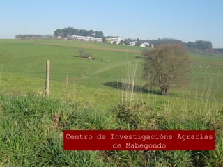 Centro de Investigacións Agrarias
de Mabegondo
 