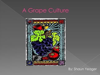           A Grape Culture By: Shaun Yeager 