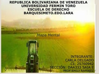 REPUBLICA BOLIVARIANA DE VENEZUELA
UNIVERSIDAD FERMIN TORO
ESCUELA DE DERECHO
BARQUISIMETO.EDO.LARA
Mapa Mental
INTEGRANTE:
CARLA DELGADO
CI: 25760942
SECCIÓN: DAA333 SAIA E
PROF:EMILY RAMIREZ
 
