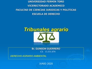 UNIVERSIDAD FERMIN TORO
VICERECTORADO ACADEMICO
FACULTAD DE CIENCIAS JURIDICAS Y POLITICAS
ESCUELA DE DERECHO
JUNIO 2020
Tribunales agrario
Br. GUINSON GUERRERO
CI: 13.531.074
DERECHO AGRARIO AMBIENTAL
 