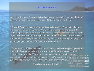 HISTÓRIA DE AMOR




A revista francesa "Le magazine des voyages de pêche" na sua edição nº
56, traz uma notícia espantosa: uma história de amor admirável.


"Arnold Pointer um pescador profissional do sul da Austrália libertou
uma grande fêmea de Tubarão Branco (Carcharodon carcharias) das
redes de pesca em que tinha ficado presa, livrando-a de uma morte certa.
Agora este pescador tem um problema: ele afirma :"Há dois anos que ela
não me larga. Ela segue-me para toda a parte. A sua presença faz fugir os
peixes que quero pescar. Não sei mais o que fazer."


Efetivamente, difícil de se livrar de um tubarão de uma espécie protegida
medindo 5 metros, estabeleceu-se uma afeição mútua entre Arnold e
"Cindy". Arnold diz "A partir do momento que paro o barco ela
aproxima-se, vira-se de costas para que eu lhe acaricie o ventre e o
pescoço, ela grunhe, rola os olhos, bate com as barbatanas...“
                      Simplesmente admirável!!!”
 