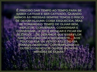 É preciso dar tempo ao tempo para se saber cativar e ser cativado. Quando saímos às pressas sempre temos o risco de deixar alguma coisa esquecida. Mas se tomamos o tempo de olhar bem, refletir, conversar, conversar e conversar... e rir e brincar e ficar em silêncio!... Se deixamos que essa flor nasça cuidadosa e docemente... aos poucos ela vai vendo a luz do dia. Maravilhando-se. Contemplando o outro com novos olhos, ou nova maneira de olhar. 