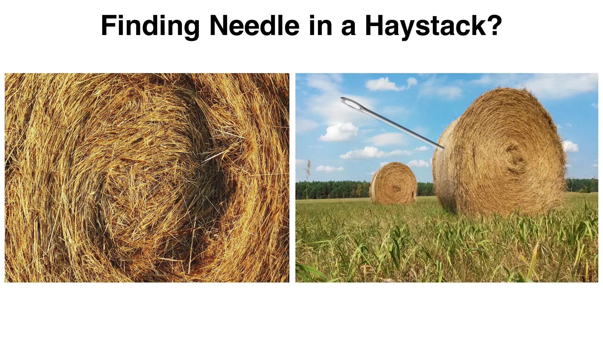 Finding Needle in a Haystack?
 