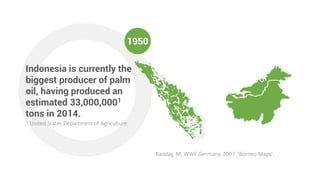 1950
Indonesia is currently the
biggest producer of palm
oil, having produced an
estimated 33,000,0001
tons in 2014.
1 Uni...