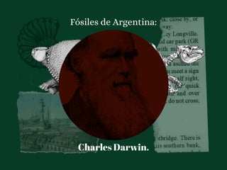 Fósiles de Argentina:
Charles Darwin.
 