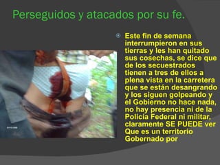 Perseguidos y atacados por su fe. Este fin de semana interrumpieron en sus tierras y les han quitado sus cosechas, se dice que de los secuestrados tienen a tres de ellos a plena vista en la carretera que se están desangrando y los siguen golpeando y el Gobierno no hace nada, no hay presencia ni de la Policía Federal ni militar, claramente SE PUEDE ver Que es un territorio Gobernado por   