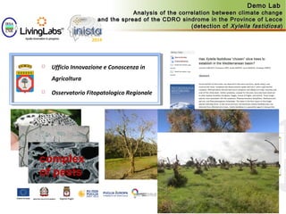  Ufficio Innovazione e Conoscenza in
Agricoltura
 Osservatorio Fitopatologico Regionale
Demo LabDemo Lab
Analysis of the correlation between climate changeAnalysis of the correlation between climate change
and the spread of the CDRO sindrome in the Province of Lecceand the spread of the CDRO sindrome in the Province of Lecce
(detection of(detection of Xylella fastidiosaXylella fastidiosa))
complex
of pests
 