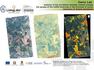 Demo LabDemo Lab
Analysis of the correlation between climate changeAnalysis of the correlation between climate change
and the spread of the CDRO sindrome in the Province of Lecceand the spread of the CDRO sindrome in the Province of Lecce
(detection of(detection of Xylella fastidiosaXylella fastidiosa))
 