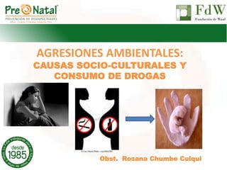 AGRESIONES AMBIENTALES:
CAUSAS SOCIO-CULTURALES Y
CONSUMO DE DROGAS
Obst. Rosana Chumbe Culqui
 