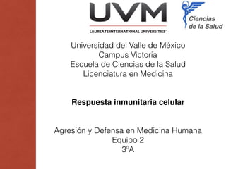 Universidad del Valle de México
Campus Victoria
Escuela de Ciencias de la Salud
Licenciatura en Medicina
Respuesta inmunitaria celular
Agresión y Defensa en Medicina Humana
Equipo 2
3ºA
 