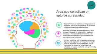 Área que se activan en
apto de agresividad
Sistema límbico: se relaciona con los procesos de
regulación, gracias de la integración de recuerdos,
emociones y las conductas aprendidas.
Amígdala: hace parte del sistema límbico, y es la
principal encargada de la expresión y regulación
emocional y motivacional. Adicionalmente, está
involucrada en la percepción y consolidación de
eventos con carga emocional
Corteza pre frontal: esta zona está directamente
ligada con la regulación del comportamiento y la
toma de decisiones, incluidos aquellos con las
respuestas agresivas. Se ha asociado una
alteración en la zona pre frontal, con agresividad y
conductas delictivas.
 