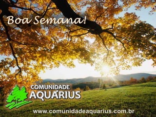 Agressões contra Cristo