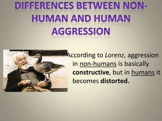 According to Lorenz, aggression
  in non-humans is basically
  constructive, but in humans it
  becomes distorted.
 