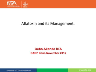 www.iita.orgA member of CGIAR consortium
Aflatoxin and its Management.
Debo Akande IITA
CADP Kano November 2015
 