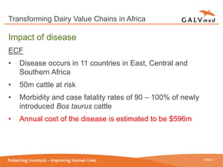 Delivering animal disease prevention services in value chains